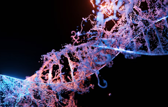 Unsplash DNA
