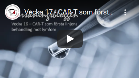 skärmdump forskningsbloggen v 17 car-t mot myelom