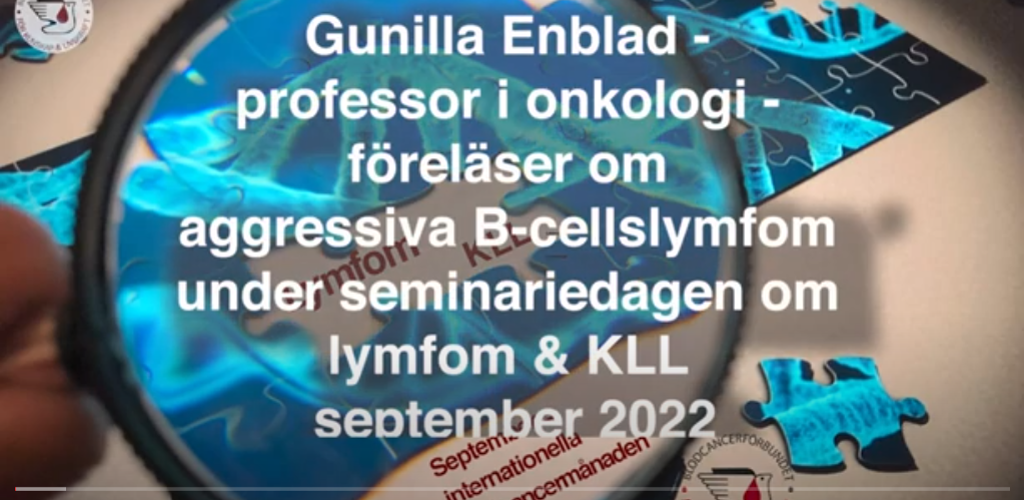 Startbild Gunilla Enblad KLL Dagen2022