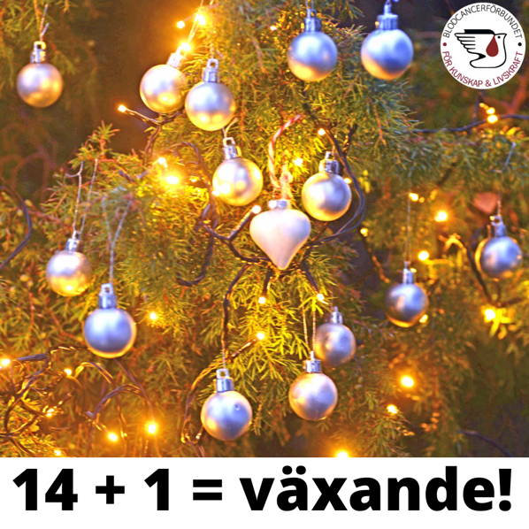 15 julgranskulor i en jul-en som symbol för ett växande Blodcancerförbund.
